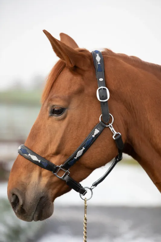 Paiement Scuris Licol HFI Polo - Cob - Noir / marine / argent