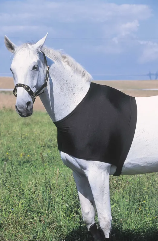 Retour Gratuit Protection d'paules Equithme - Poney
