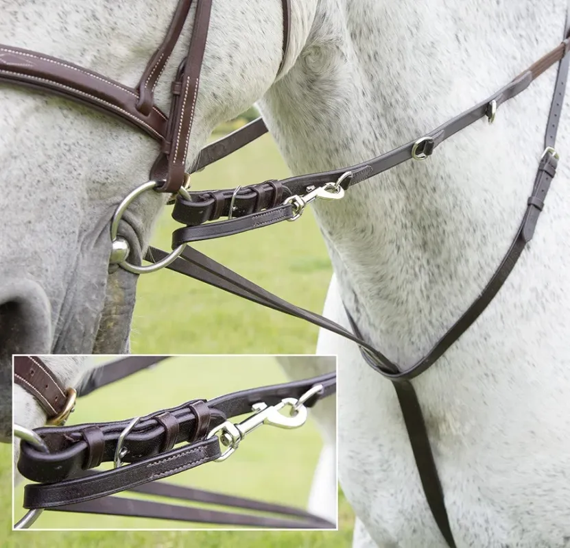 Meilleur Choix Enrnement Howlett Blenheim Shires - Cob - Noir