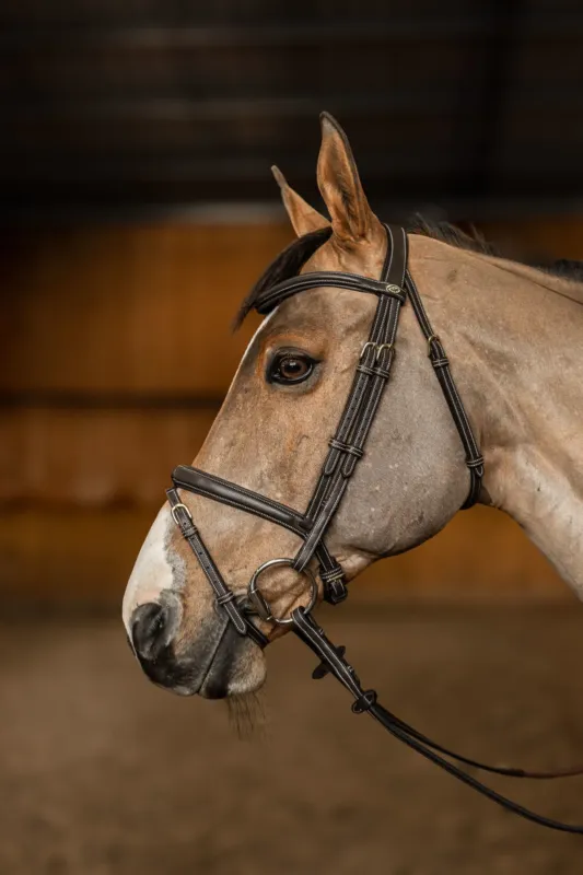 Authentique Bridon Combin Flex HFI Master - Cob - Marron