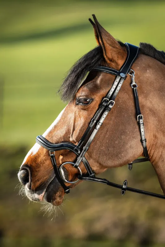 Offre Spciale Bridon Techno HFI - Cob - Noir