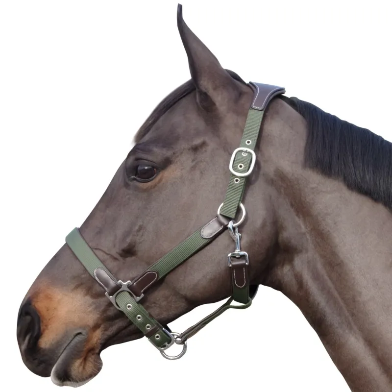 Licol Flags & Cup Nylon/cuir - Poney - Marron / olive Satisfait Ou Rembours