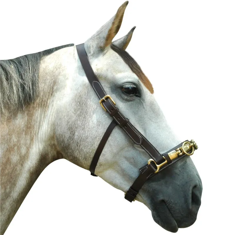 Offre Spciale Caveon Canter - Cheval - Noir
