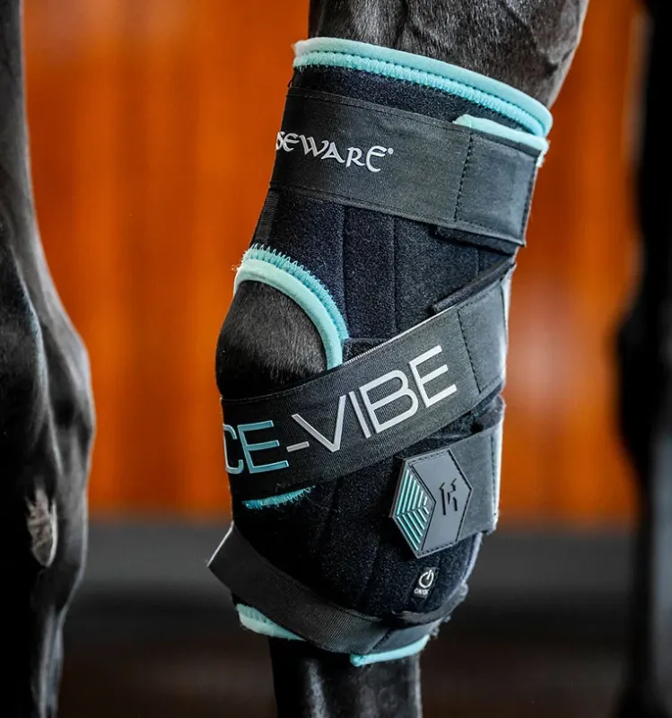 Prix Promo Protge-jarrets Horseware Ice-Vibe - Cheval - Noir / aqua