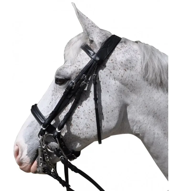 Paiement Scuris Bride Hagen Flags & Cup - Cob - Marron