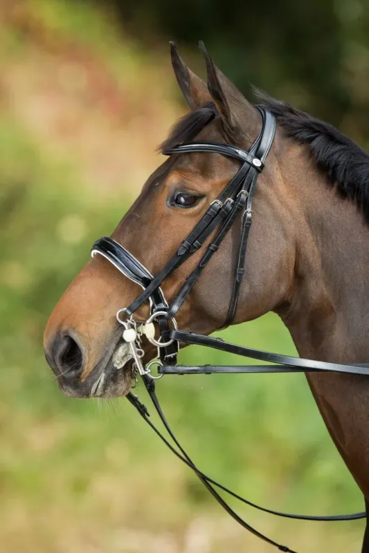 Nouvelle Collection Bride convertible bridon Weymouth HFI - Cheval - Noir / noir