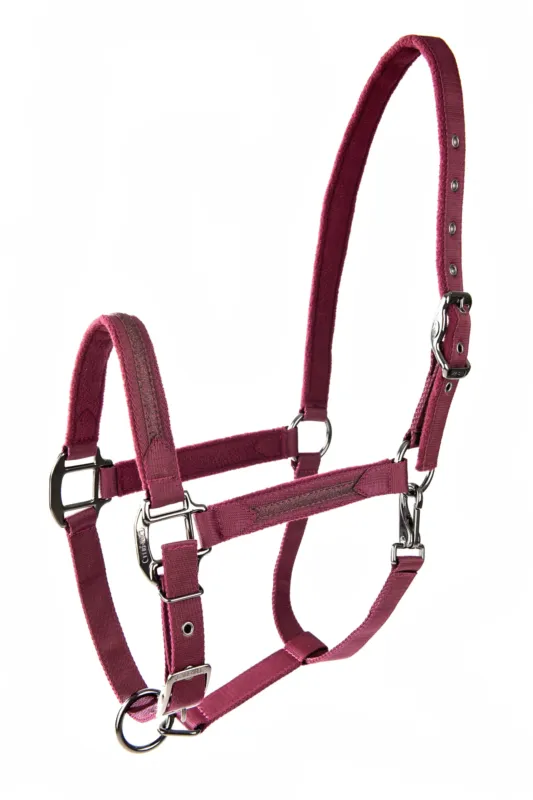 Petit Prix Licol Lami-Cell Sparkling - Cheval - Bordeaux