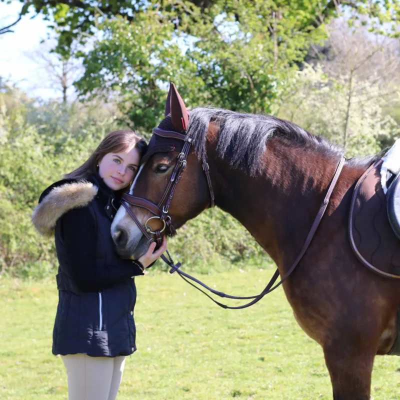 Nouvel Arrivage Bridon Flags & Cup Comfort combin - Poney - Marron