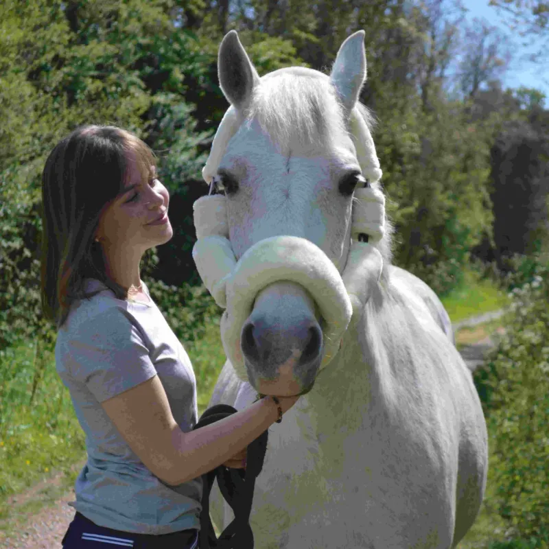 Licol de Transport Flags & Cup - Poney - Naturel Marque