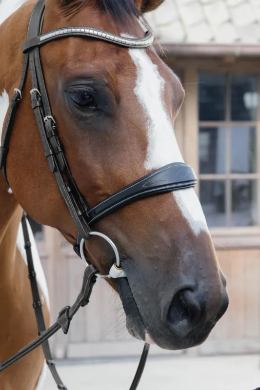 Muserolle Anatomique sans Sous Barbe Collection US Jumping Dy'on - Poney - Noir Marque