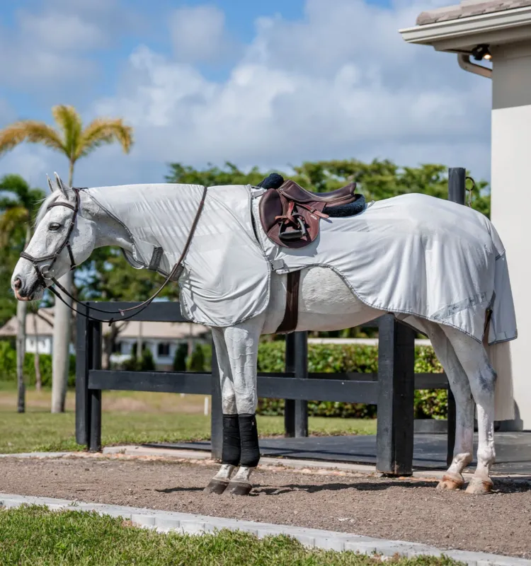 Achat Immdiat Couvre-reins Horseware anti-mouches Fluo Amigo Flyrider 0g - S - Argent / gris titanium / argent