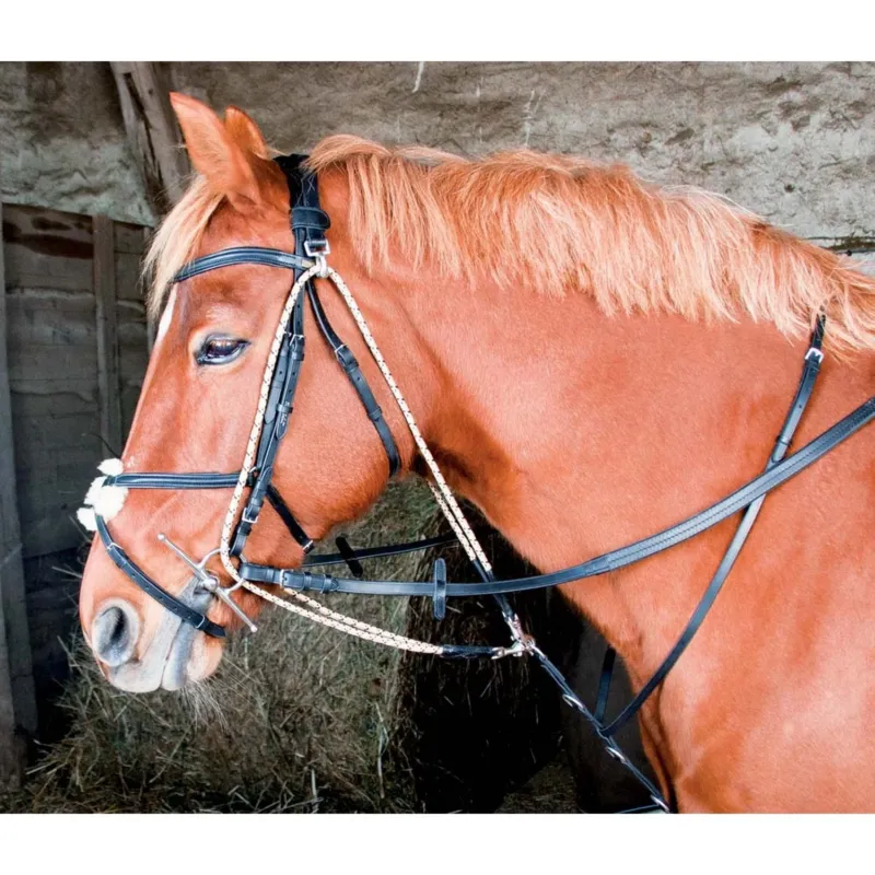 Gogue T de T - Poney - Noir Offre Du Jour