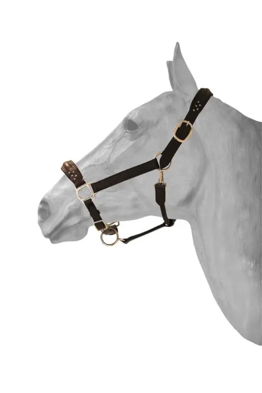 Licol Cuir + diamond HFI - Poney - Noir Produit De Marque