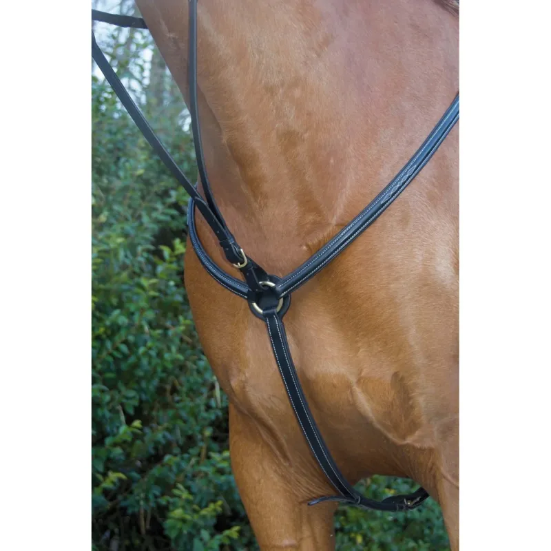 Usine Directe Collier de chasse doubl surpiqres T de T - Poney - Noir