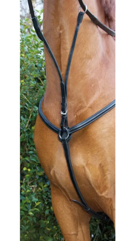 Livraison Express Collier de chasse doubl T de T - Pur-sang - Noir