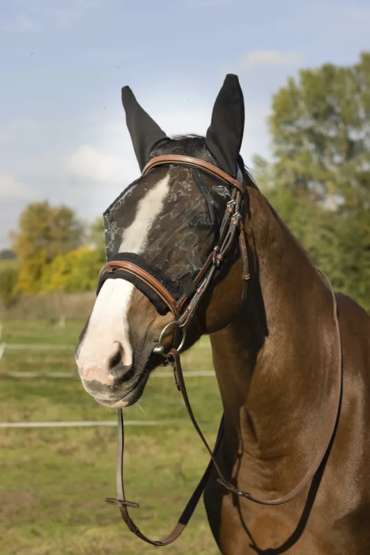 Masque anti-mouches Equithme Training - Poney - Noir ancien modle Top Vente