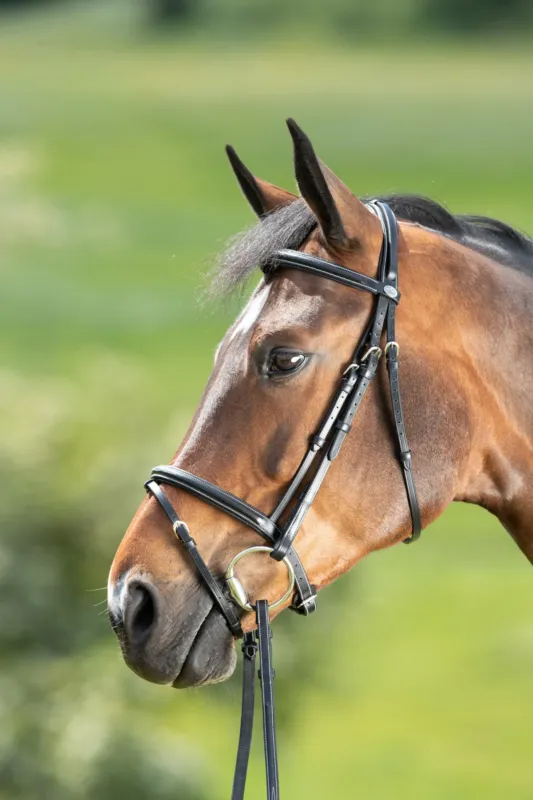 Bridon Comfort HFI - Poney - Noir Affaire Saisir