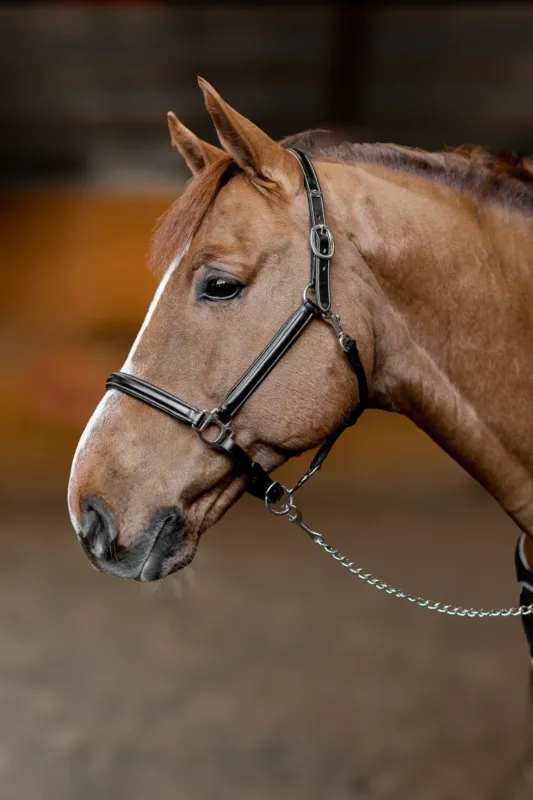 Satisfait Ou Rembours Licol cuir Little Groom HFI Master - Poney - Noir