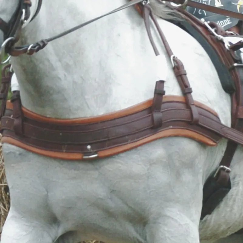 Bricole Anatomique Eric Le Tixerant - Cheval - Noir / newmarket Offre Exclusive