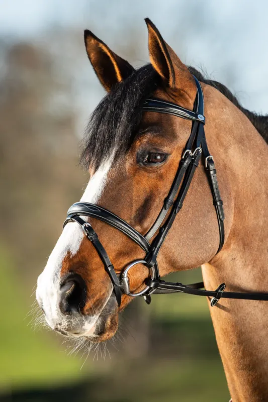 Bridon HFI Elegant - Cob - Noir Quantit Limite