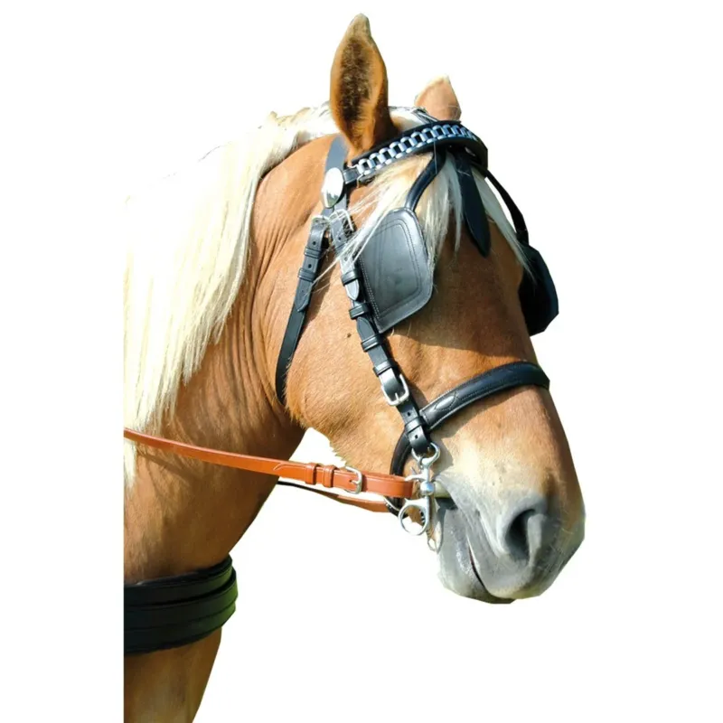 Bride harnais EURO Canter - Poney - Marron Promotion
