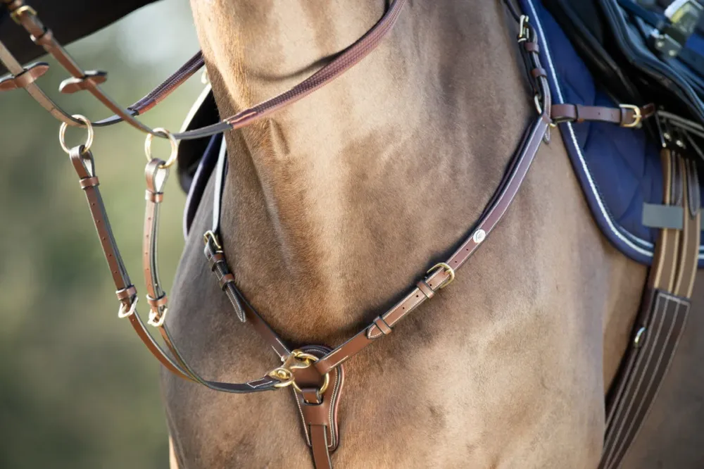 Top Vente Collier de chasse Long Bridge HFI - Cob - Marron