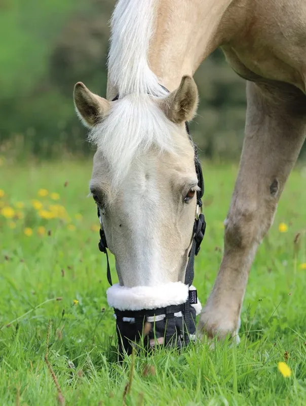 Meilleure Vente Muselire Deluxe Confort Shires - Cheval - Noir