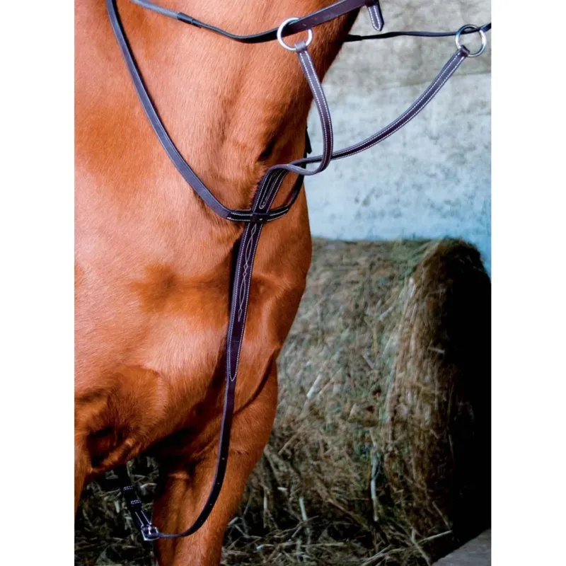 Populaire Martingale T de T - Cheval - Noir