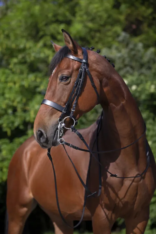 Authentique Bride Riding World - Cheval - Noir