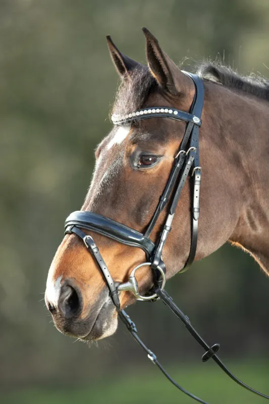 Bridon Shiny HFI - Poney - Noir Dernire Chance