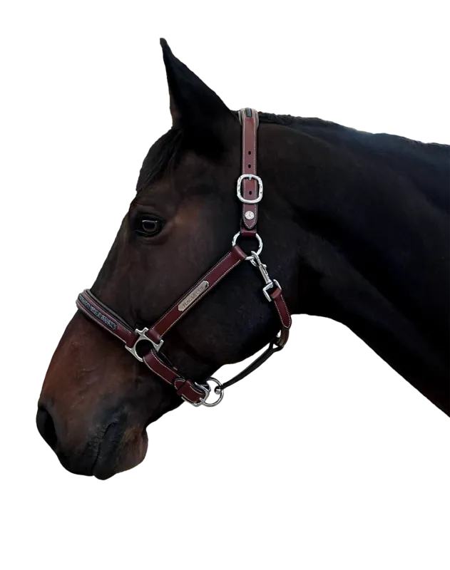 Licol Aachen Flags & Cup - Cob - Noir Offre Du Jour