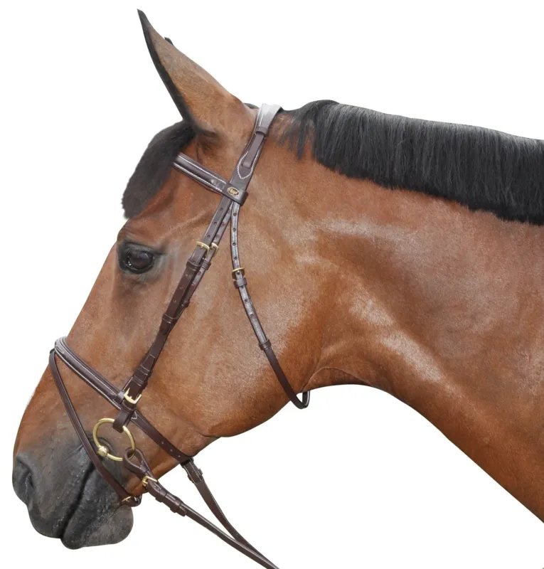 Meilleur Choix Bridon surpiqu combin Chetak - Cheval - Marron