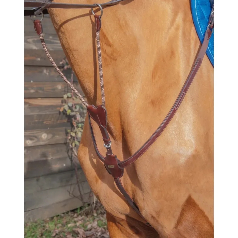 Offre Limite Collier de chasse luxe T de T avec pont - Cheval - Noir