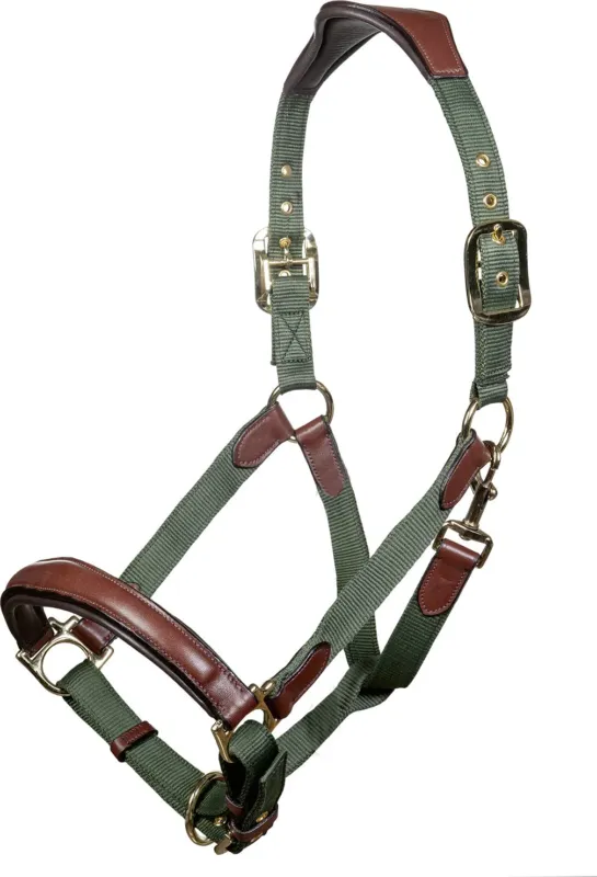 Licol Luna cuir et nylon HKM - Pur-sang - Vert / marron Meilleure Vente