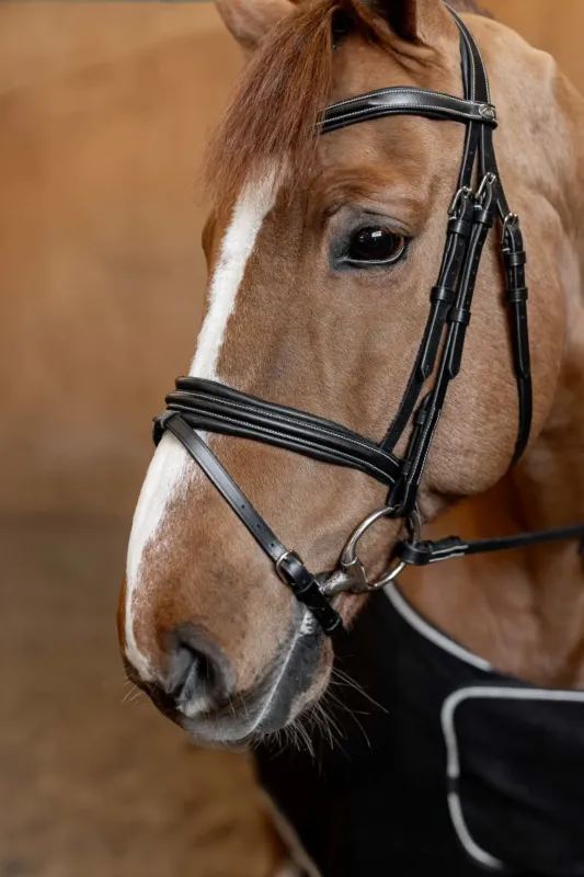 Bridon Combin Padded HFI Master - Cob - Noir Livraison Gratuite