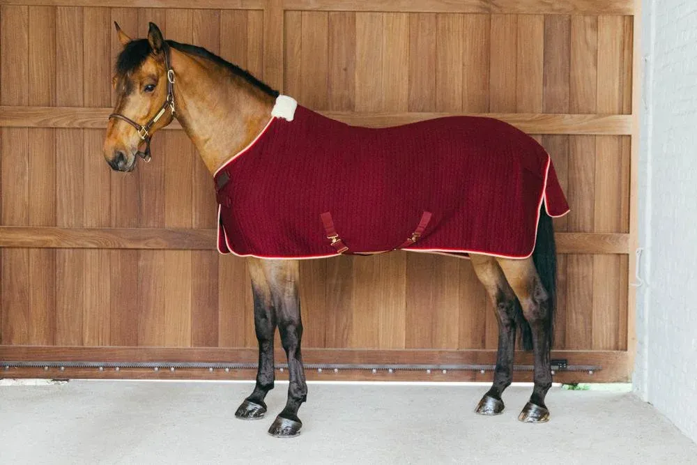 Couverture schante Kentucky PROtherm - 165 cm - Bordeaux Offre Limite