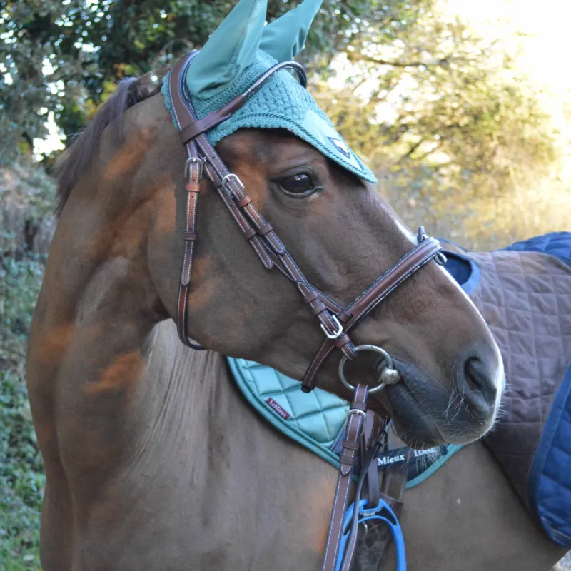 Bridon Flags & Cup Doha - Cheval - Marron Commande En Gros