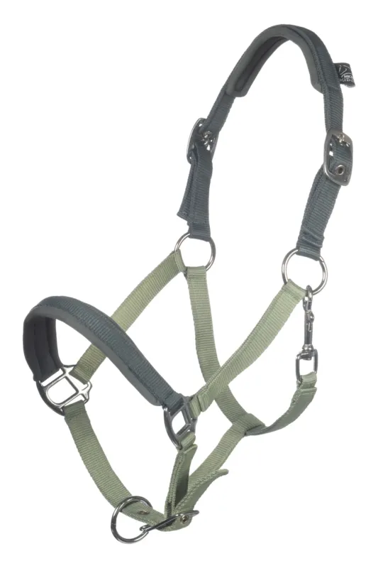 Super Prix Licol HKM Barnie - Mini shetland - Vert clair / vert fonc