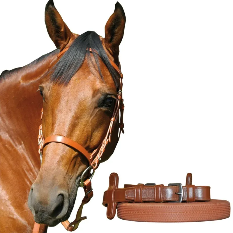 Bon March Bride de course Canter – Cob – Marron