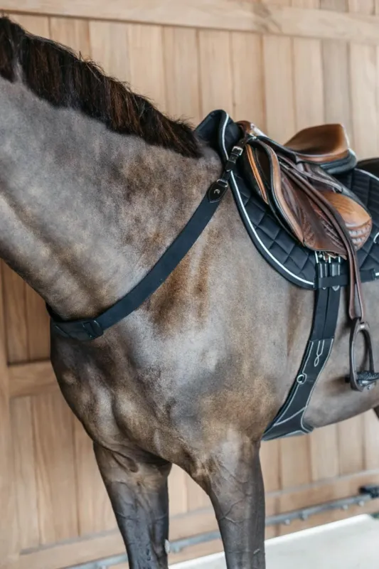 Prix Promo Collier de chasse lastique New English Collection Dy'on - Poney - Noir