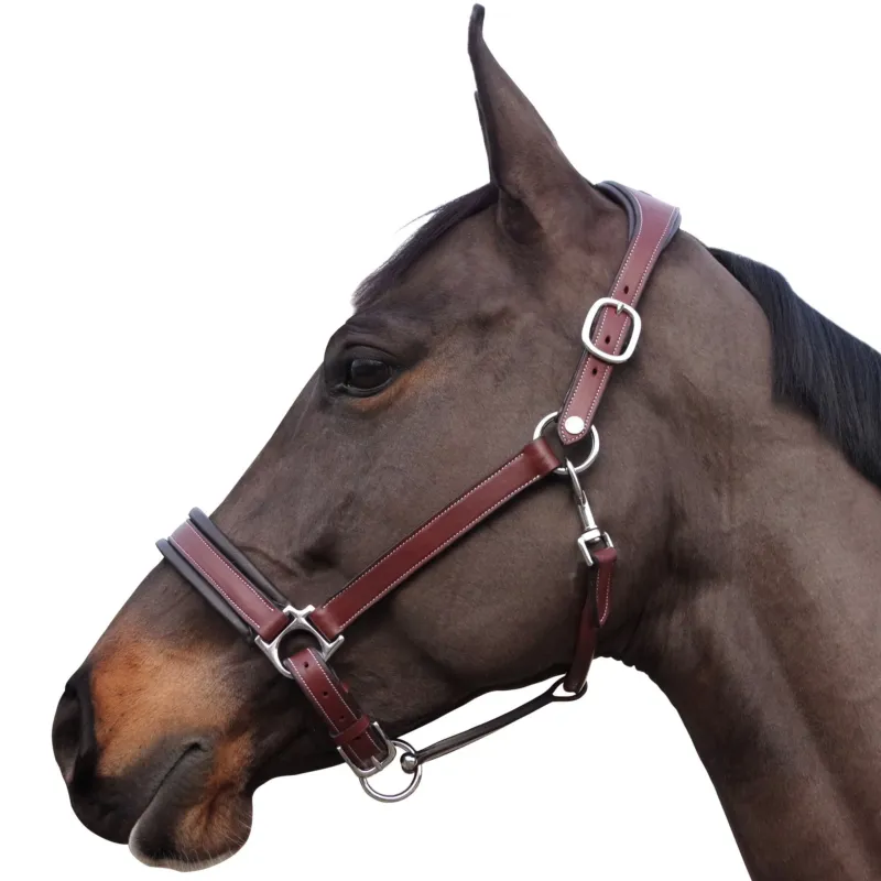 Commander Maintenant Licol Comfort Flags & Cup - Poney - Marron