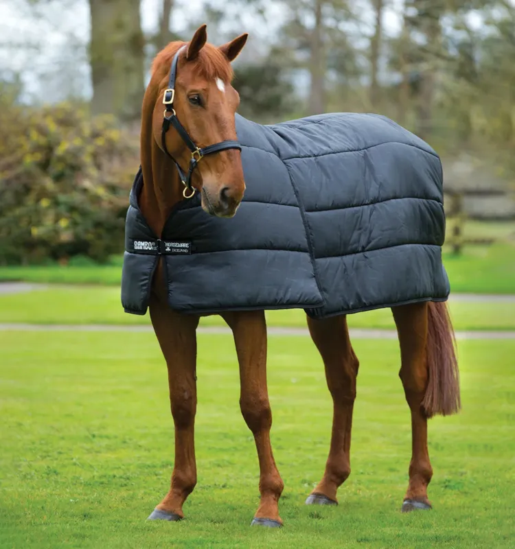Acheter Direct Liner Horseware 100g Rambo Optimo - 160 cm - Noir / noir