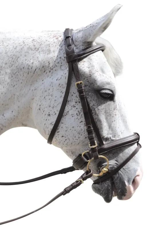 Usine Directe Bridon Pull Back Euro Canter - Cheval - Marron