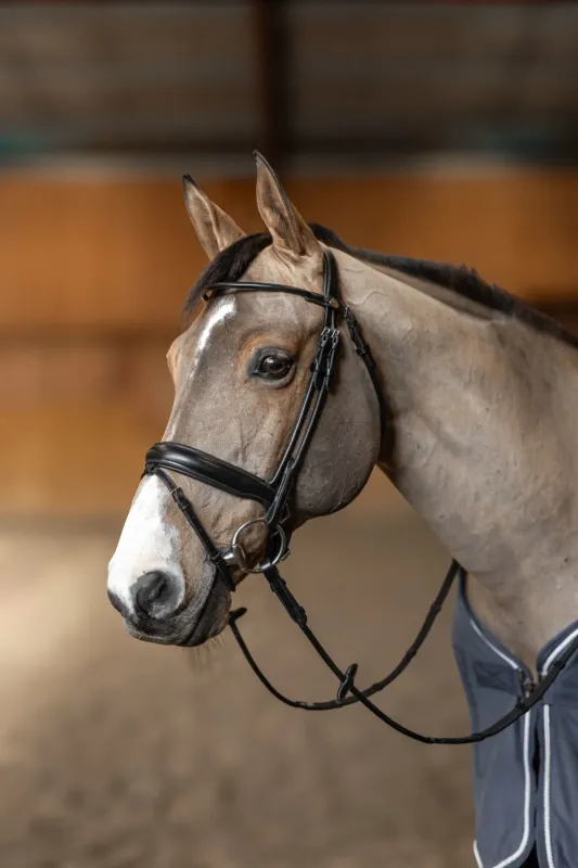 Bon Plan Bridon rond HFI Master - Cheval - Noir