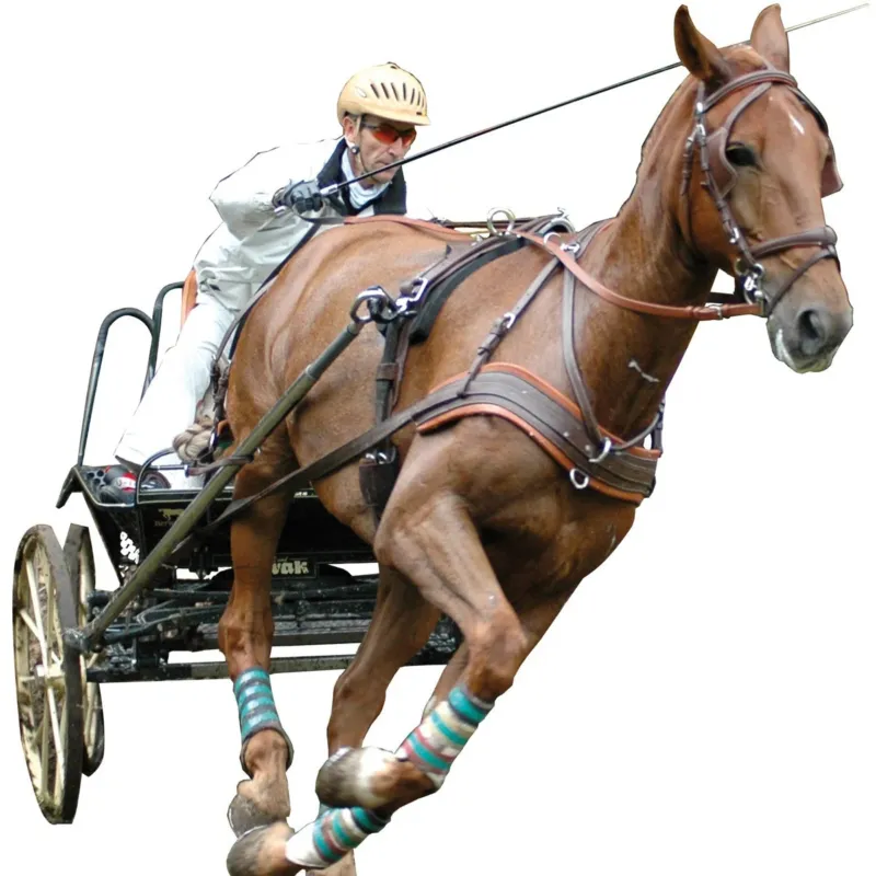 Affaire Saisir Harnais MARATHON anatomique Eric Le Tixerant - Cob - Noir / newmarket