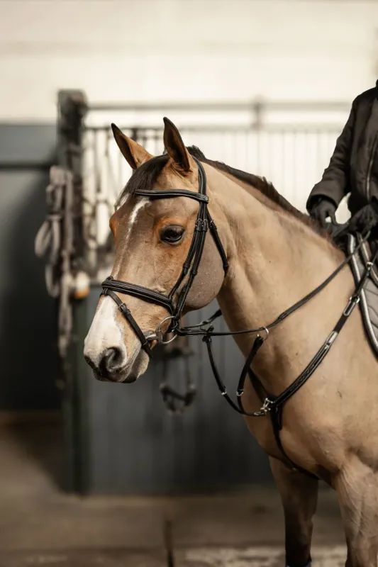 Meilleure Vente Bridon combin Milano HFI Master Pro Line - Cob - Noir / argent