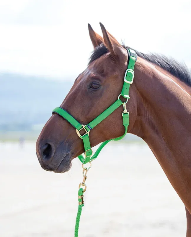 Offre Spciale Licol nylon Topaz Shires - Grand cheval - Vert