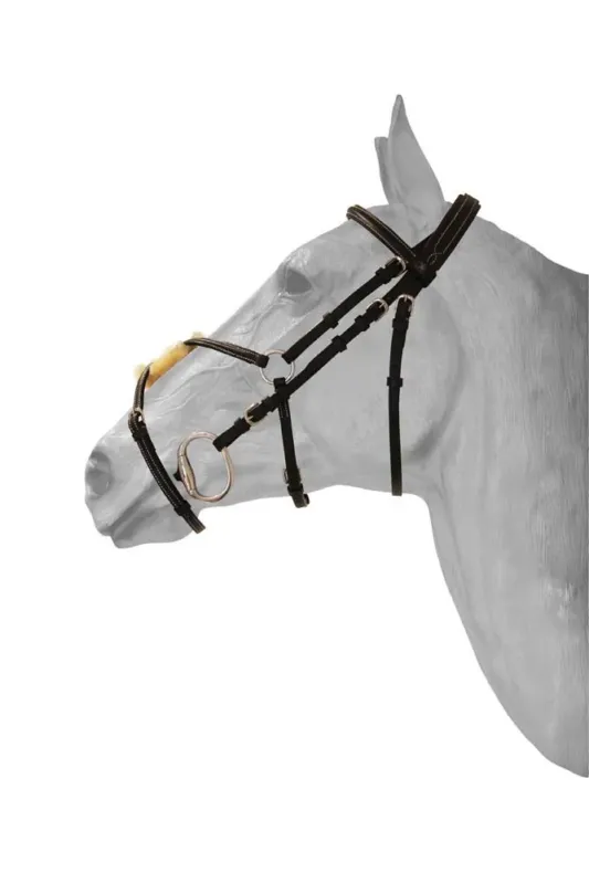 Expdi Aujourdhui Bridon HFI muserolle mexicaine Diamond - Cob - Noir