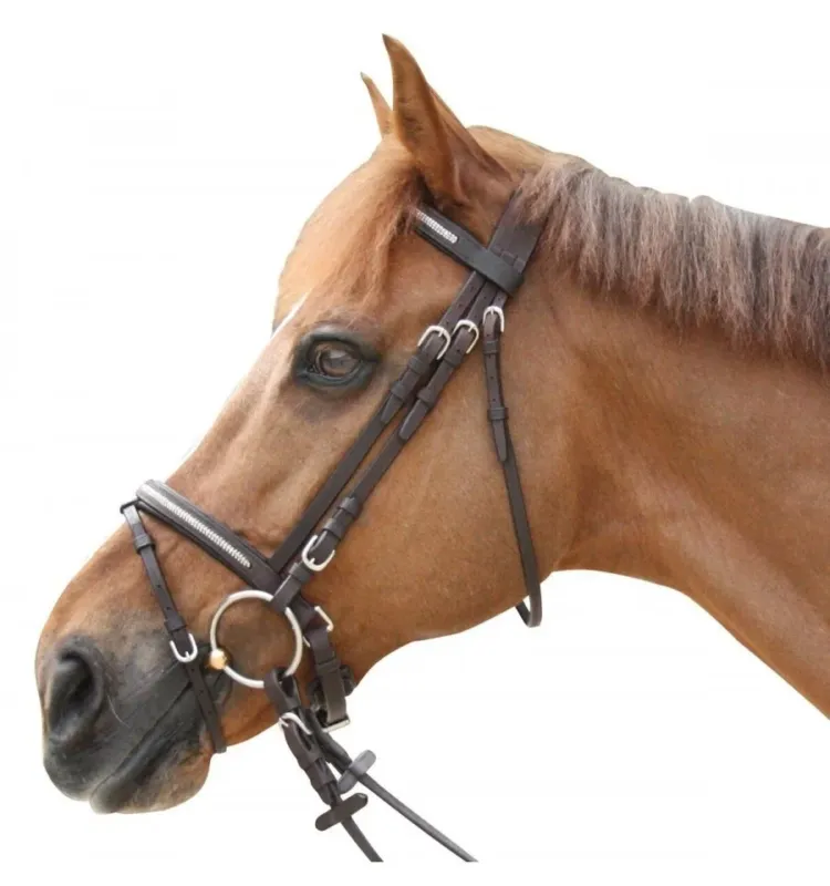 Bridon Pull Back Lacanau Privilege Equitation - Poney - Noir Solde