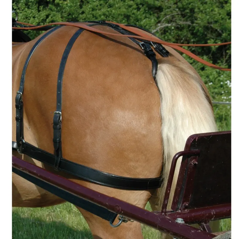 Promotion Saisonnire Courroies de reculement Chetak - Cheval - Double marron